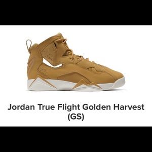 Boys size 3y Jordan True Flight Golden Harvest